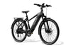 Level 3 Ebike
