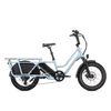 RadWagon 5 Electric Cargo Bike