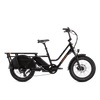 RadWagon 5 Electric Cargo Bike