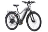 Level 2 Ebike