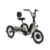 RadTrike Electric Tricycle