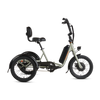 RadTrike Electric Tricycle