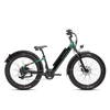 RadRover 6 Plus Electric Fat Tire Bike