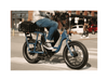 RadRunner Electric Cargo Utility Bike