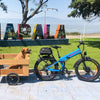 2024 Wallke X3 Pro Folding Electric Bike