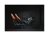 RadWagon 5 Electric Cargo Bike